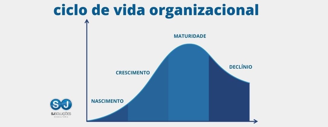 Sj Solucoes Consultoria